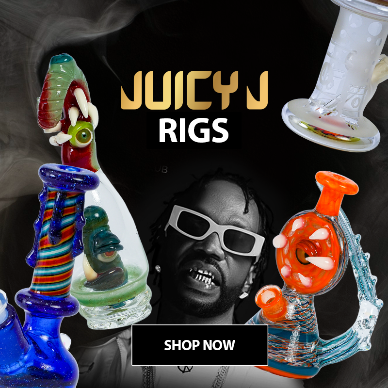 RIGS
